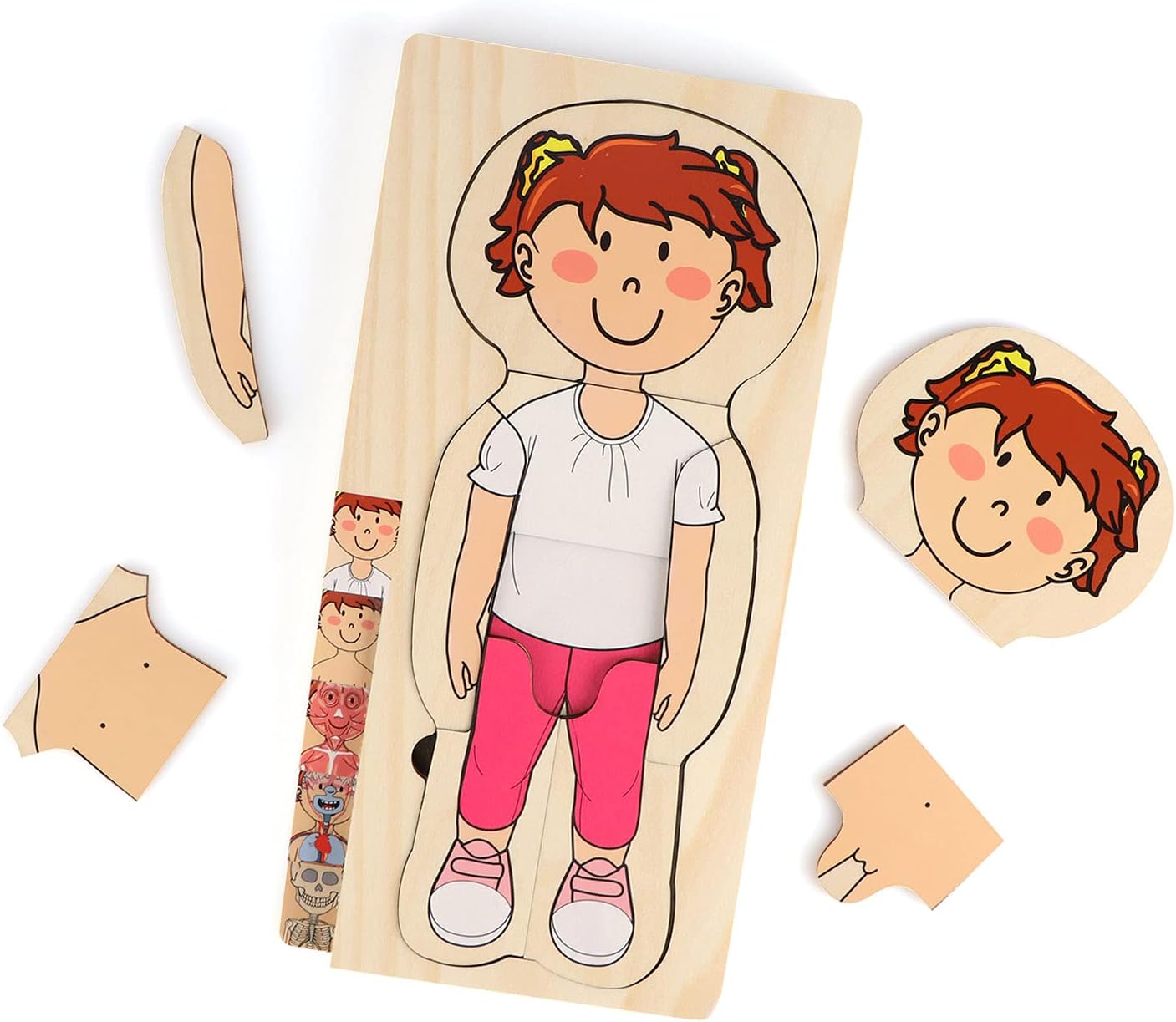 Puzzle Tubuh Manusia