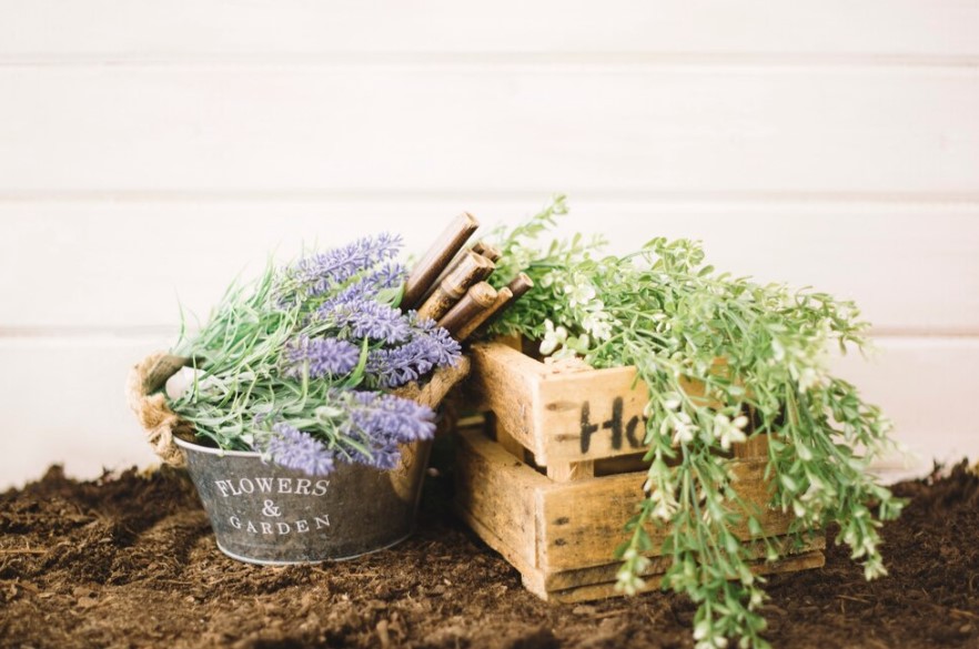 Membuat Kebun Mini di Rumah Sudut Hijau