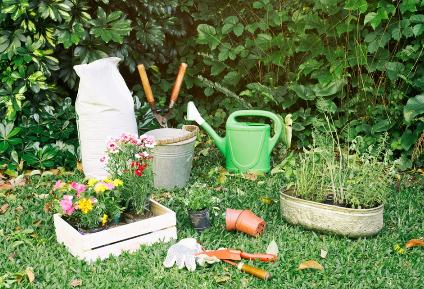 Membuat Kebun Mini di Rumah Sudut Hijau